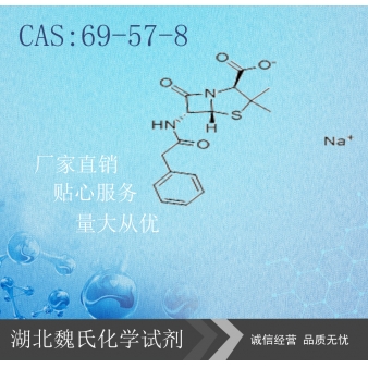 青霉素钠—69-57-8