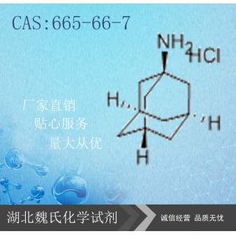 盐酸金刚烷胺—665-66-7