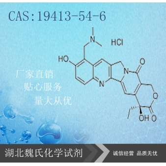 盐酸拓扑替康—119413-54-6