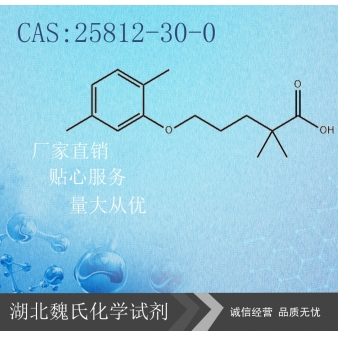 吉非罗齐（中间体）—25812-30-0