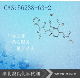 Cefuroxime sodium/ 56238-63-2