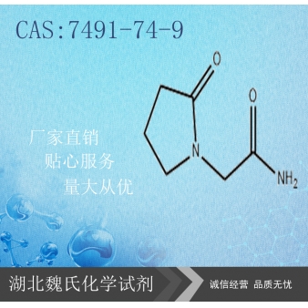 Piracetam科研试剂—7491-74-9