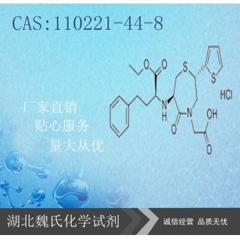 Temocapril hcl—110221-44-8