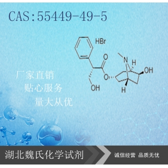 氢溴酸山莨菪碱—55449-49-5