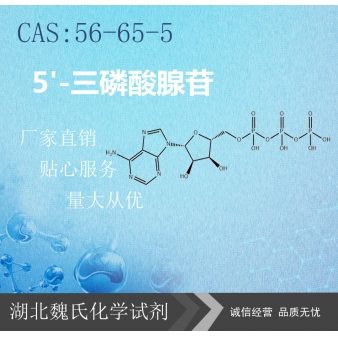 5'-三磷酸腺苷—56-65-5 