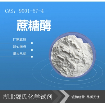 蔗糖酶—9001-57-4