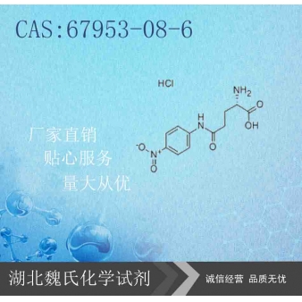 Γ-(P-硝基苯胺)-L-谷氨酸盐酸盐—67953-08-6