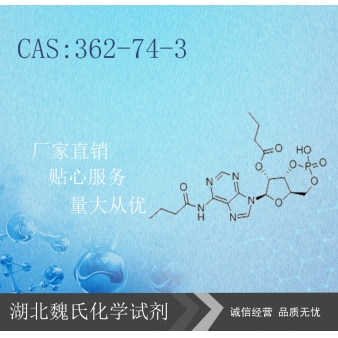 二丁酰环磷腺甙—362-74-3