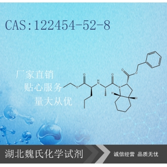培哚普利苄酯—122454-52-8