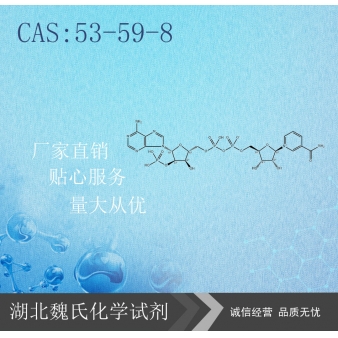 烟酰胺腺嘌呤双核苷酸磷酸盐-53-59-8