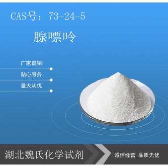 腺嘌呤-73-24-5